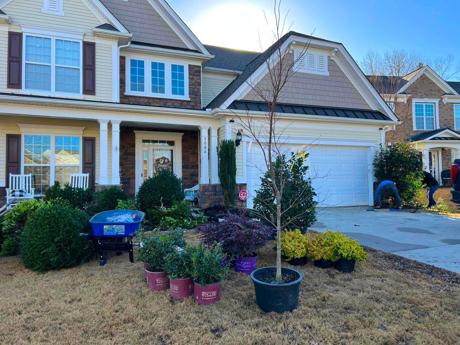 landscaping charlotte landscaping charlotte