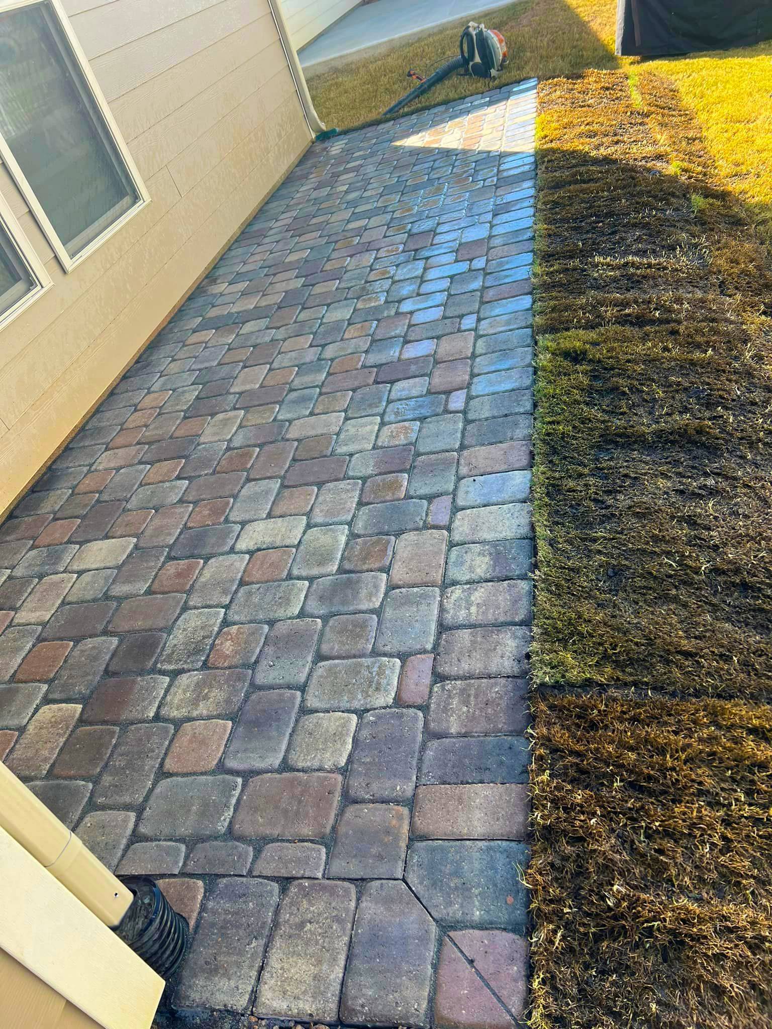landscaping charlotte landscaping charlotte