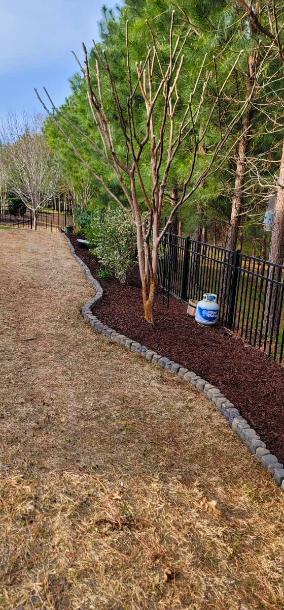landscaping charlotte landscaping charlotte