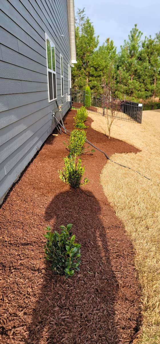 landscaping charlotte landscaping charlotte
