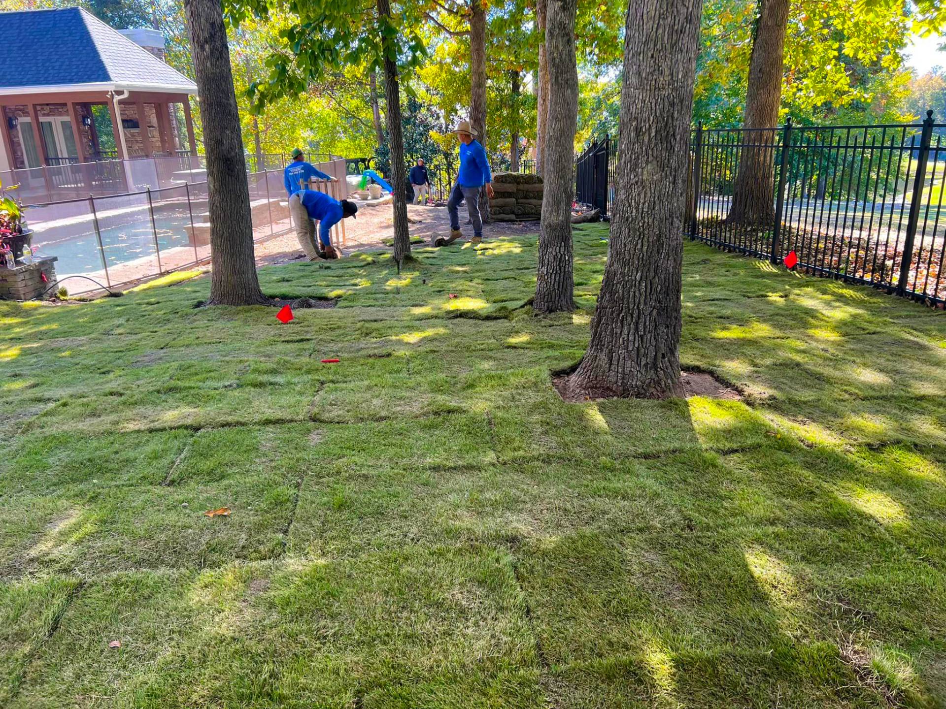 landscaping charlotte landscaping charlotte