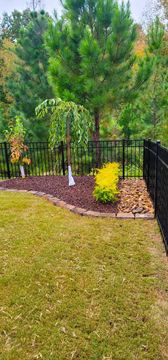 landscaping charlotte landscaping charlotte