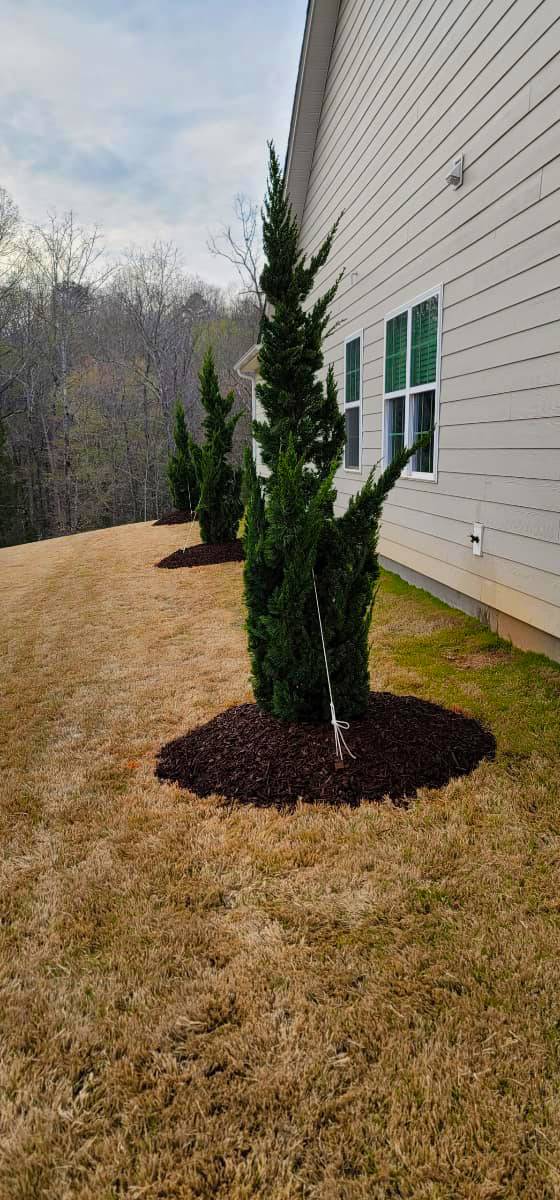 landscaping charlotte landscaping charlotte