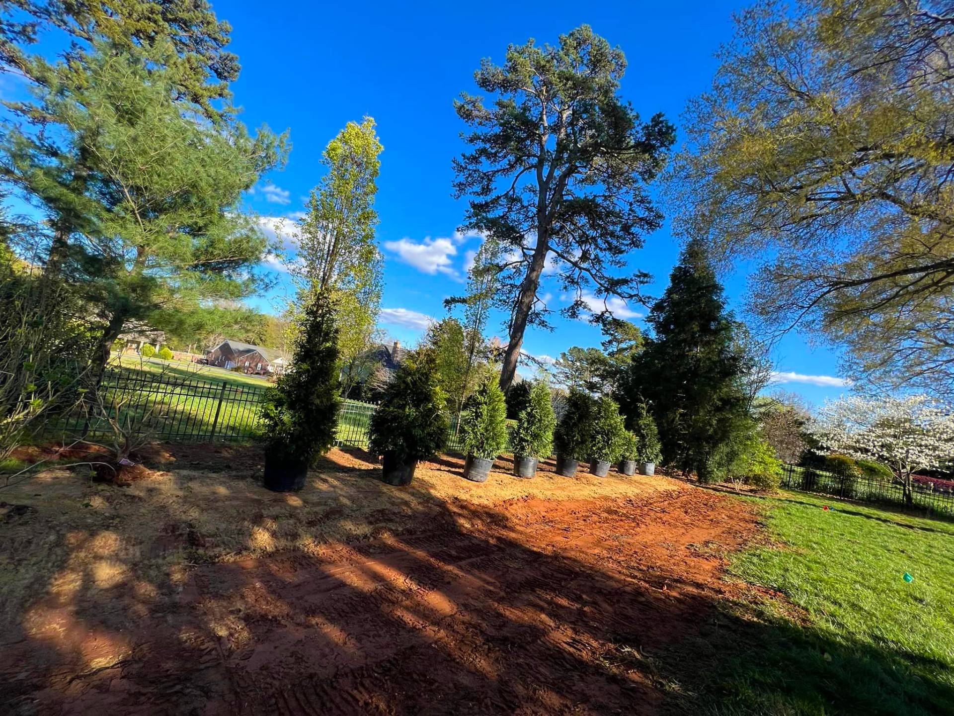 landscaping charlotte landscaping charlotte