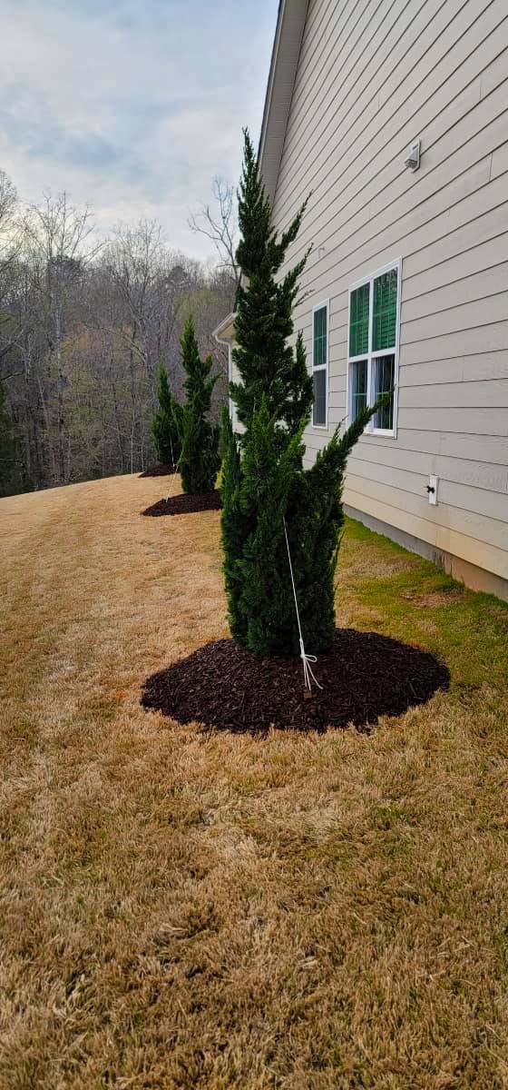 landscaping charlotte