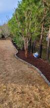 landscaping charlotte